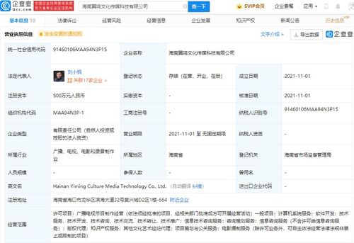 項目策劃與公關(guān)服務(wù) 構(gòu)建成功與聲譽的雙重支柱
