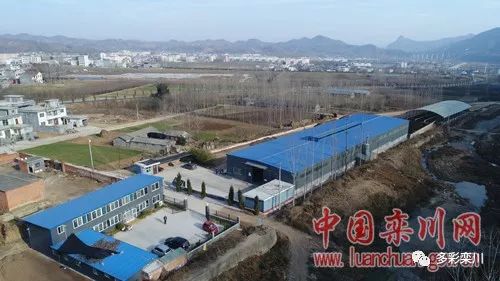 重點項目見實效 繪制發展新藍圖