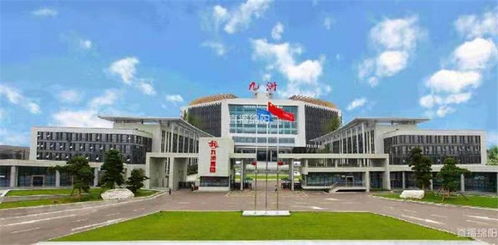 突破300億 九洲邁上高質(zhì)量發(fā)展 快車道